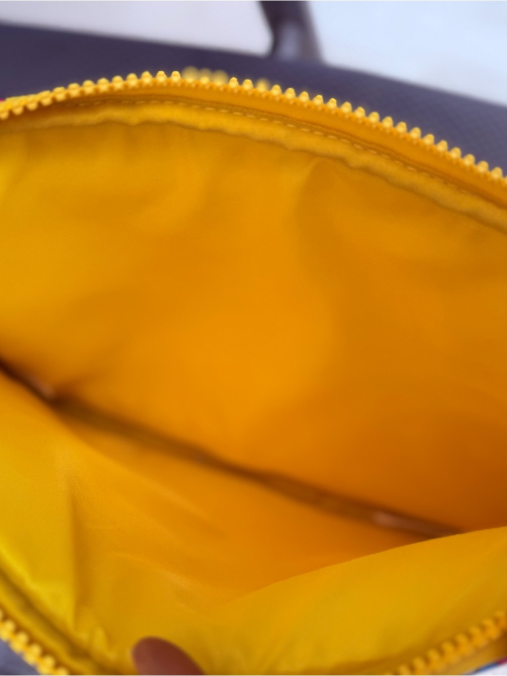 Marc Jacobs x Murakami Daisy Flower Print Zip Pouch Yellow Tablet Case - Picture 4 of 6
